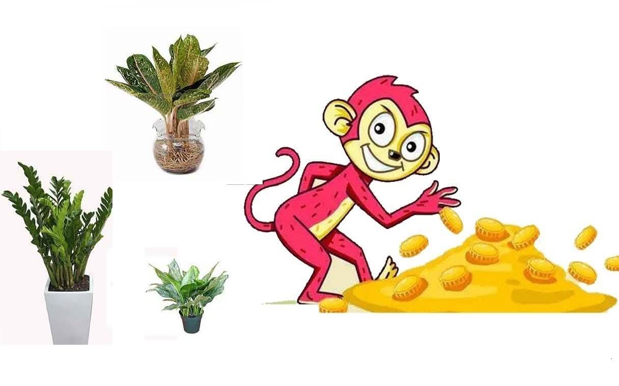 Tuổi Thân hợp cây gì? Việc xác định người tuổi Thân hợp cây gì sẽ giúp bạn lựa chọn được loại cây phù hợp mang lại nhiều tài lộc, gia đình vui vẻ, hạnh phúc và tránh xa những xui xẻo.