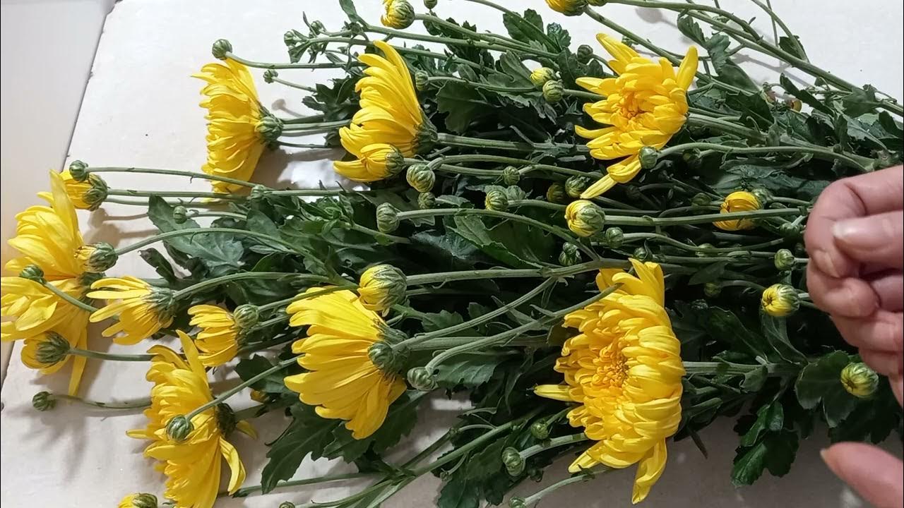 Top 7 các loại hoa dùng để thờ cúng giúp gia chủ cầu được ước thấy, cuối năm tiền về