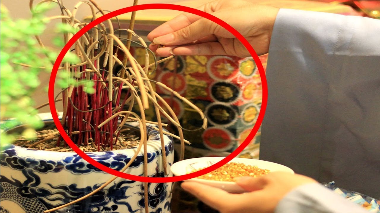 Theo hướng dẫn cách bốc bát hương về nhà mới, bạn có thể tỉa chân nhang để khu vực thờ cúng sạch sẽ, gọn gàng