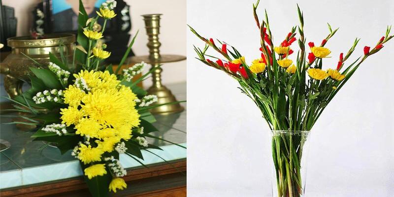Ý nghĩa của từng loài hoa cúc