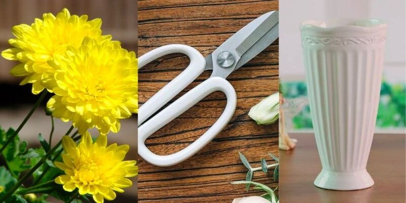 Chuẩn bị nguyên vật liệu cắm hoa