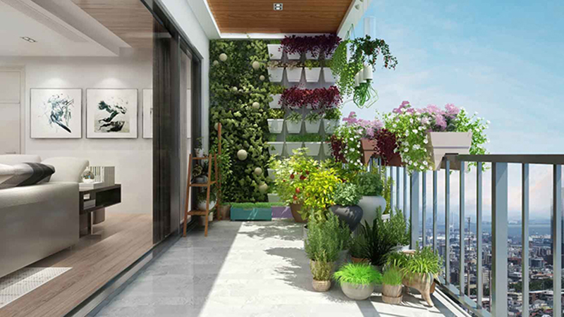 Lưu ý chọn cây phù hợp với hướng của ban công để cây luôn xanh tốt