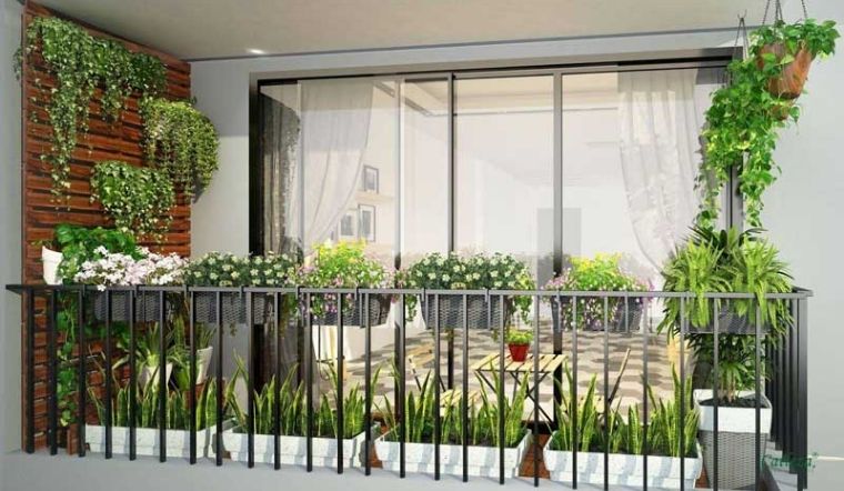 Điểm mặt 7 cây trồng ban công dễ chăm sóc nhất cho mọi gia đình 