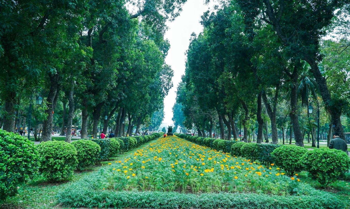 Người mệnh Mộc dễ thất bại trong chuyện tình cảm