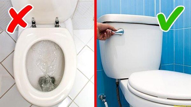 Bạn và mọi người trong gia đình cần chú ý đậy nắp bồn cầu để tránh ảnh hưởng đến sinh khí của ngôi nhà