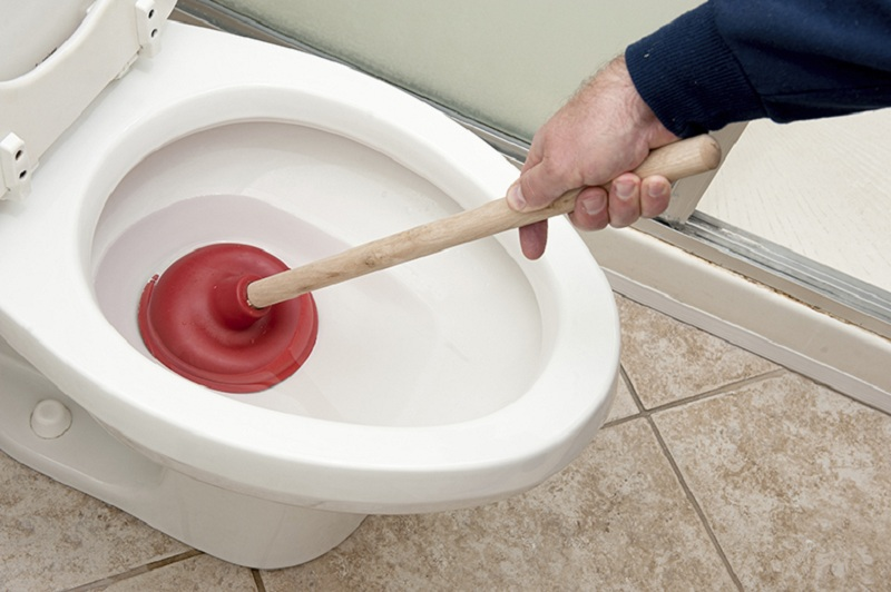 Cây thông bồn cầu là vật dụng thông bồn cầu phổ biến