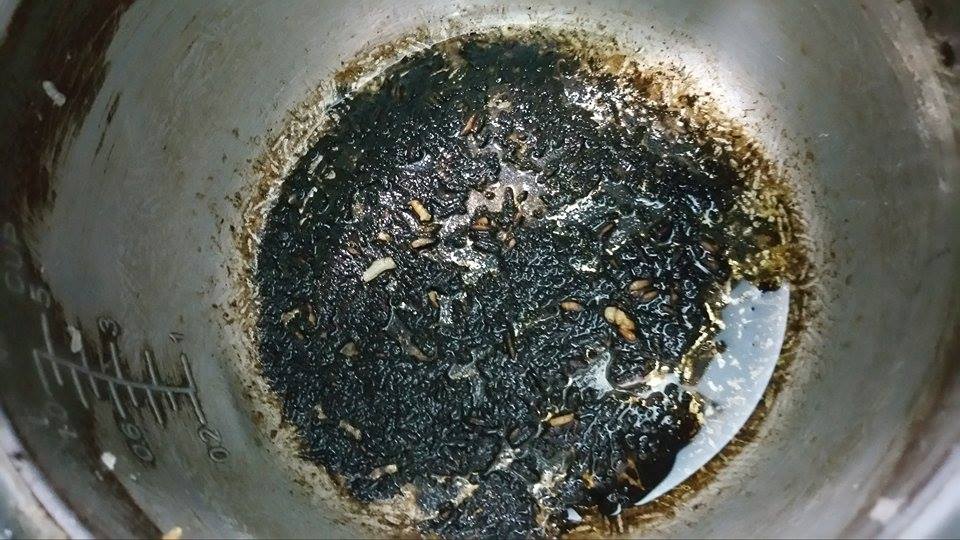Máy rửa bát không thể làm sạch các vết bẩn cứng đầu