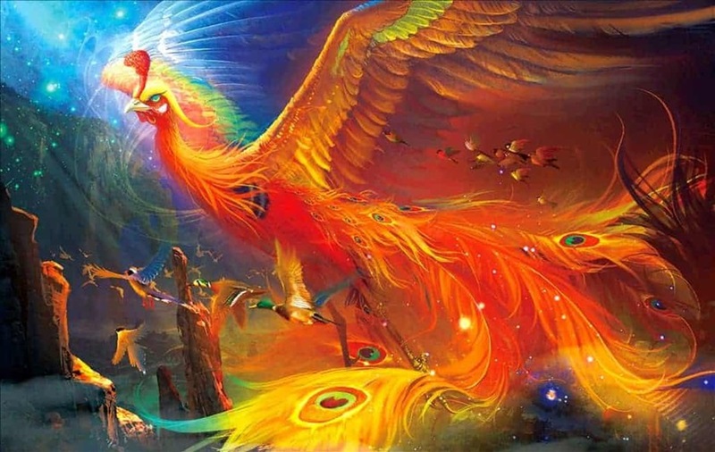Phụng một trong tứ linh trong phong thủy mang ý nghĩa của sự cao quý