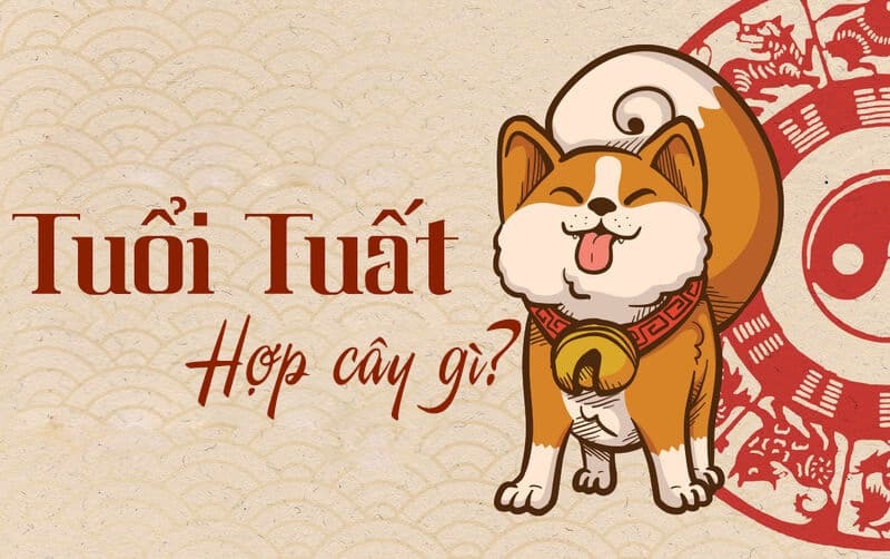 Tuổi Tuất nên chọn cây gì để hóa giải tính xấu