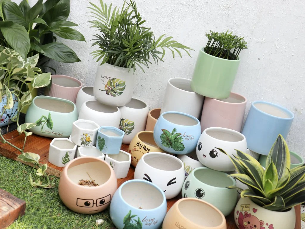 Chọn gốm sứ để trồng cây